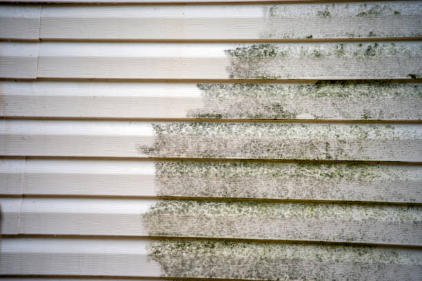 Best Mattress Disposal  in North New Hyde Park, NY